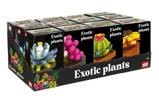 Exotic Plants